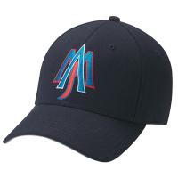 baseball cap2.JPG