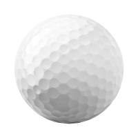 Titleist® Pro V1x™ Golf Ball Std Serv