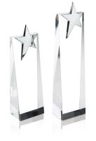 Zenith Award - Vertical Medium