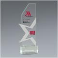 Premier 3 Plus Award - 4" x 11" with silver metal accent overlays