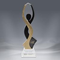 Accolades Award 2 - 3.25 " x 11 "