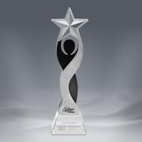 Accolades Award 1 - 3 " x 11 "