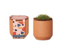 Modern Sprout® Tiny Terracotta Grow Kit Champagne Poppies