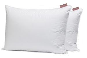Bianca Pair of 2 Recycled down pillow - King