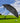 GOLF UMBRELLA: 60" Arc grouped