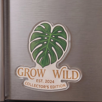 1" Custom Acrylic Magnets grouped