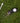 'Fix-All!' Divot Repair Tool With Ball Marker grouped