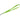 Green Lanyard with Bulldog Clip