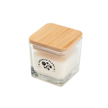 Mini Candle With Bamboo Lid grouped