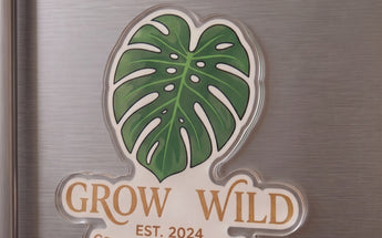 1" Custom Acrylic Magnets  grouped