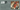 2027 Triumph® Calendars  The Saturday Evening Post Desk Calendar