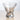 Brisbane Stemless Martini - Imprinted plain