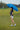 Cheshire Vented Auto-Open Golf Umbrella