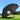 Golf Umbrella: Pongee  grouped