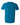 Rear View of Antique Sapphire Softstyle® T-Shirt - 64000