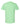 Rear View of Mint Green Softstyle® T-Shirt - 64000